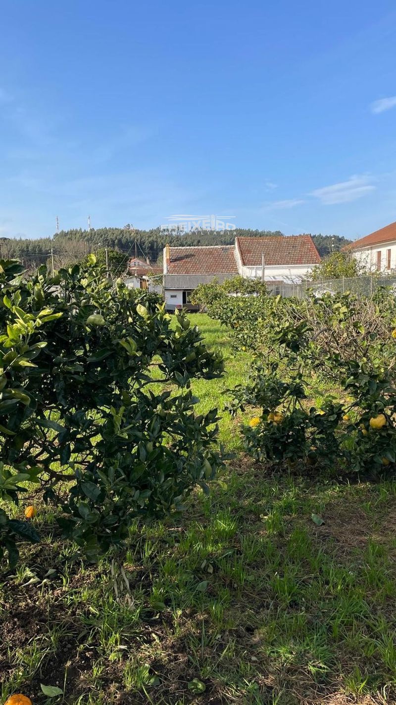 Casa en venta Naron, A Coruña. Ref: 1139. Inmobiliaria Freixeiro