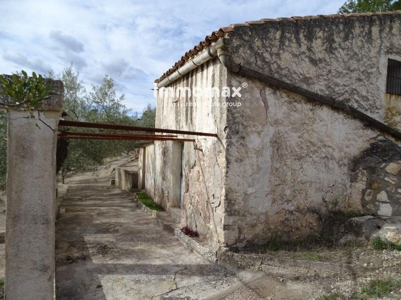 Finca rústica en venta Xerta, Tarragona. Ref: 12884. IMMOMAX