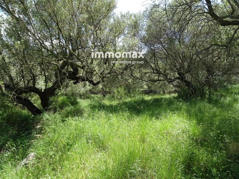 Finca rústica en venta Pauls, Tarragona. Ref: 12918. IMMOMAX