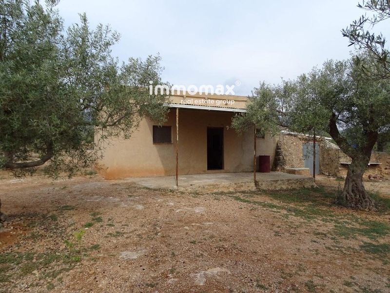 Finca rústica en venta Xerta, Tarragona. Ref: 12931. IMMOMAX