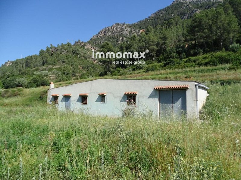 Finca rústica en venta Benifallet, Tarragona. Ref: 12943. IMMOMAX
