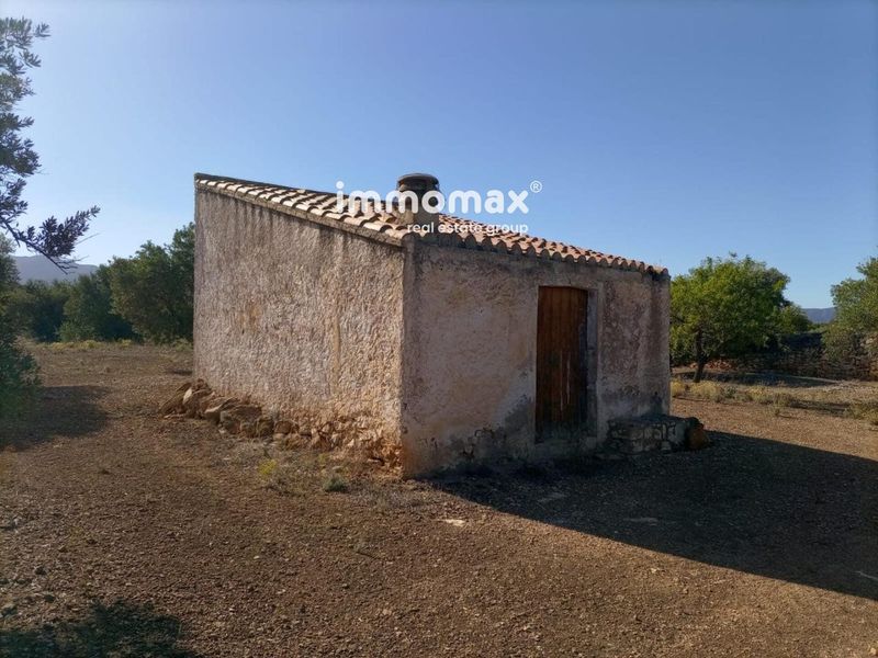 Finca rústica en venta Xerta, Tarragona. Ref: 12946. IMMOMAX