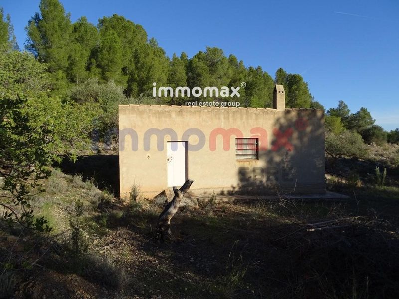 Finca rústica en venta Xerta, Tarragona. Ref: 12969. IMMOMAX