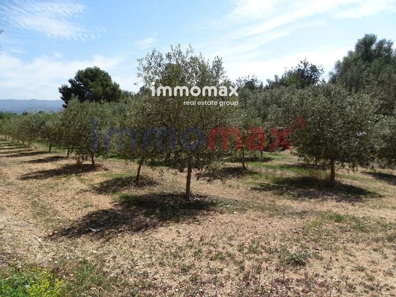 Finca rústica en venta Jesus, Tarragona. Ref: 12995. IMMOMAX