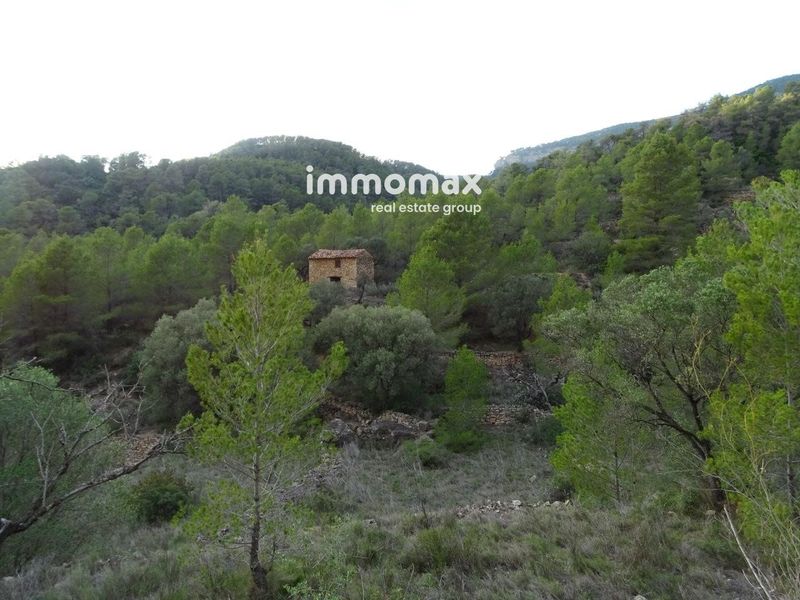 Finca rústica en venta Pinell De Brai, El, Tarragona. Ref: 13057. IMMOMAX