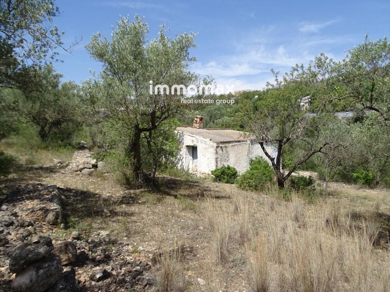 Finca rústica en venta Xerta, Tarragona. Ref: 13059. IMMOMAX
