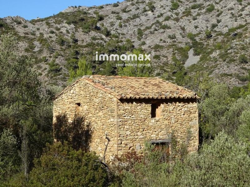 Finca rústica en venta Benifallet, Tarragona. Ref: 13110. IMMOMAX