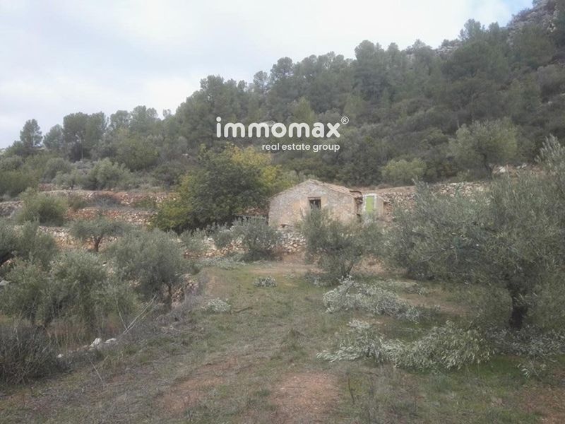 Finca rústica en venta Benifallet, Tarragona. Ref: 13118. IMMOMAX
