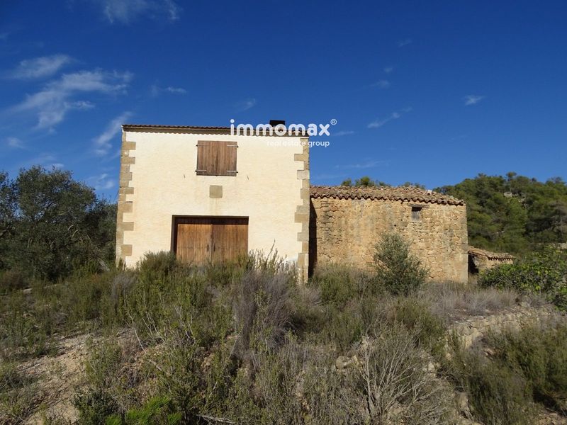 Finca rústica en venta Caseres, Tarragona. Ref: 16297. IMMOMAX