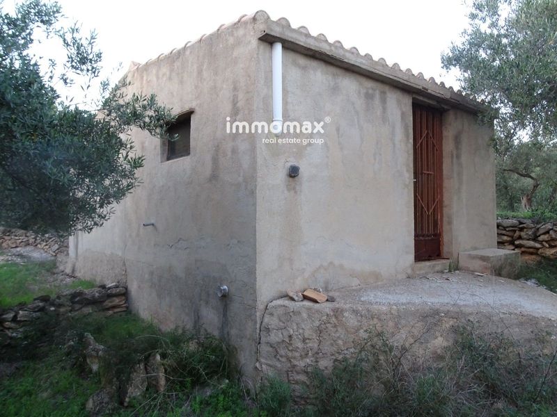 Finca rústica en venta Xerta, Tarragona. Ref: 16333. IMMOMAX