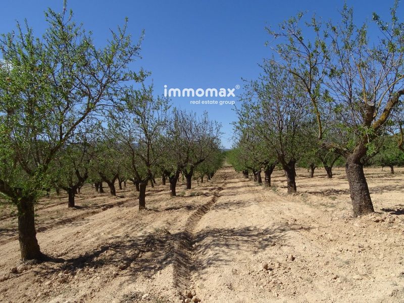 Parcela en venta Arnes, Tarragona. Ref: 16436. IMMOMAX