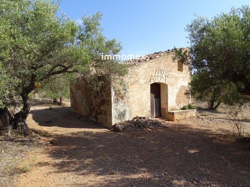 Finca rústica en venta Xerta, Tarragona. Ref: 16779. IMMOMAX