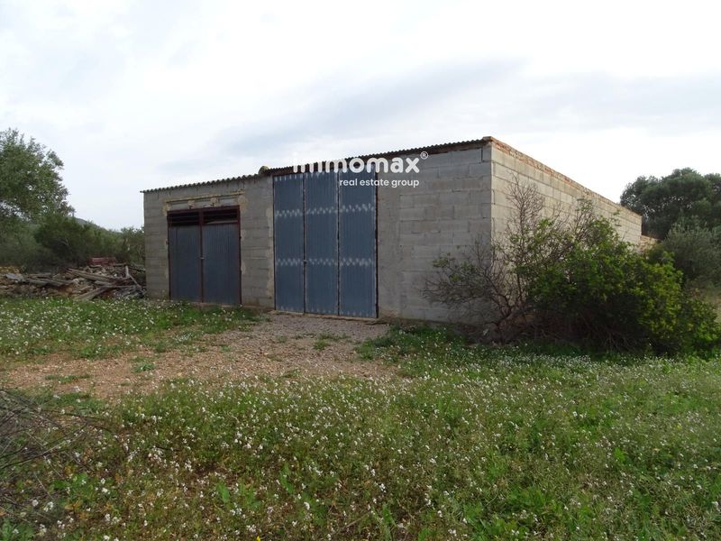 Finca rústica en venta Xerta, Tarragona. Ref: 17038. IMMOMAX