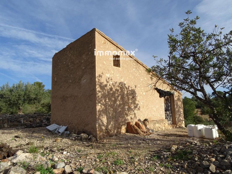 Finca rústica en venta Xerta, Tarragona. Ref: 17085. IMMOMAX