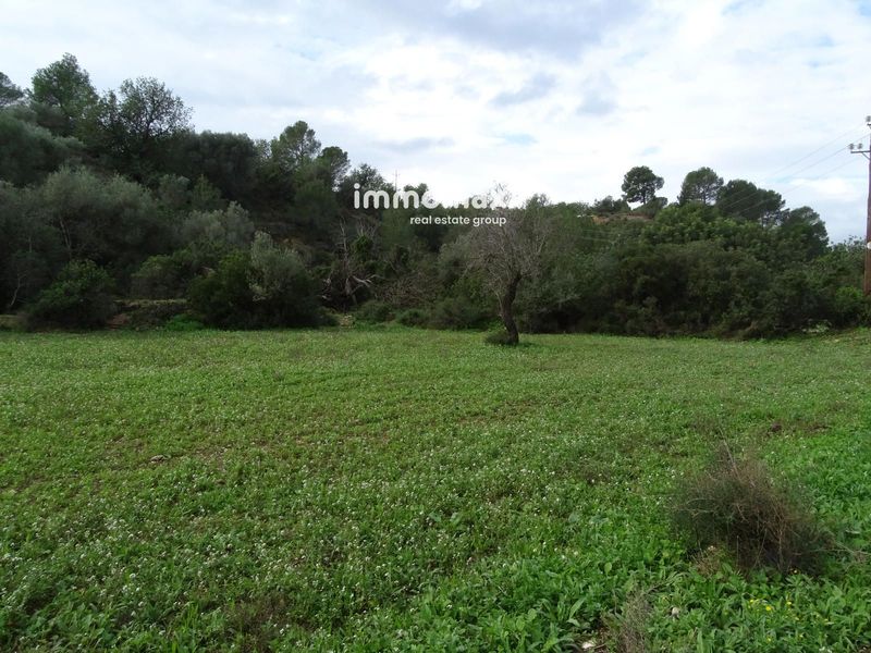 Finca rústica en venta Tortosa, Tarragona. Ref: 17086. IMMOMAX
