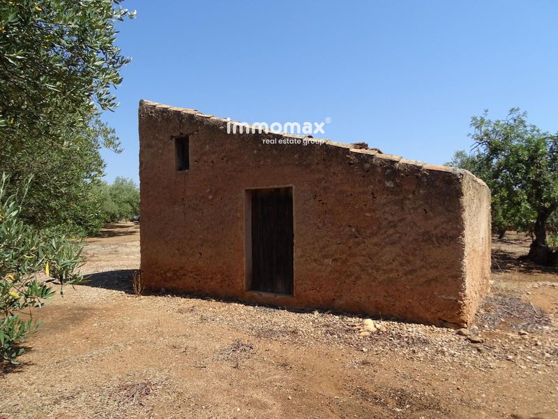 Finca rústica en venta Xerta, Tarragona. Ref: 17135. IMMOMAX