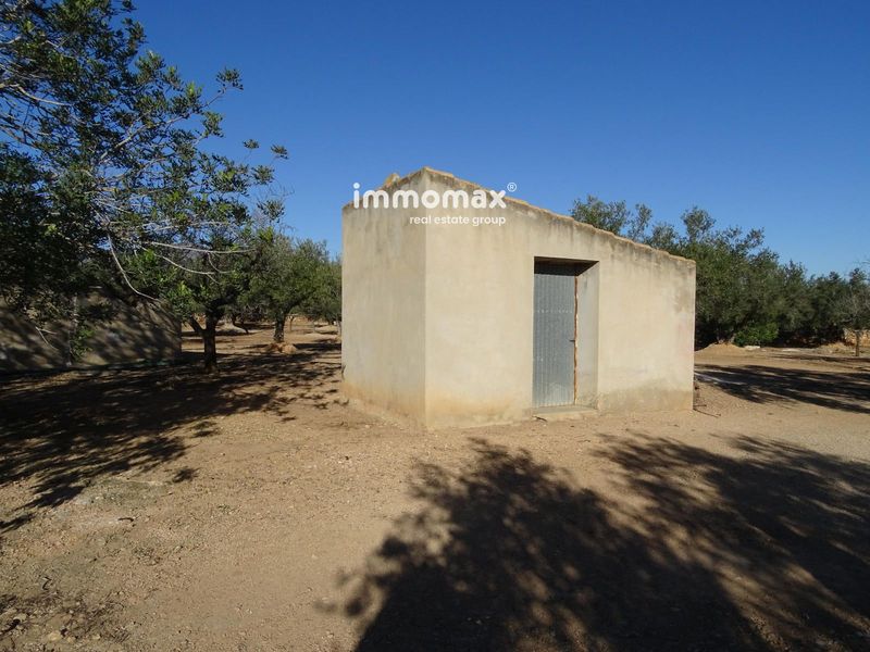 Finca rústica en venta Aldover, Tarragona. Ref: 17178. IMMOMAX