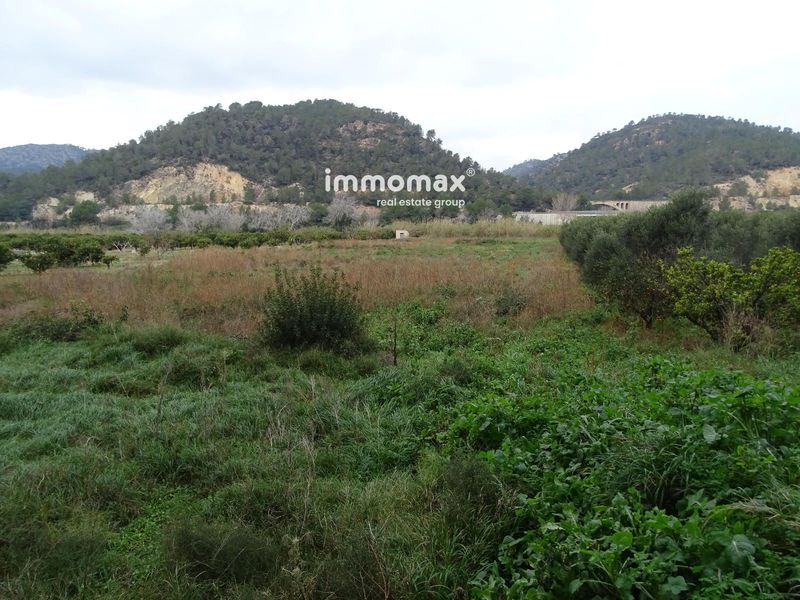 Finca rústica en venta Benifallet, Tarragona. Ref: 17431. IMMOMAX