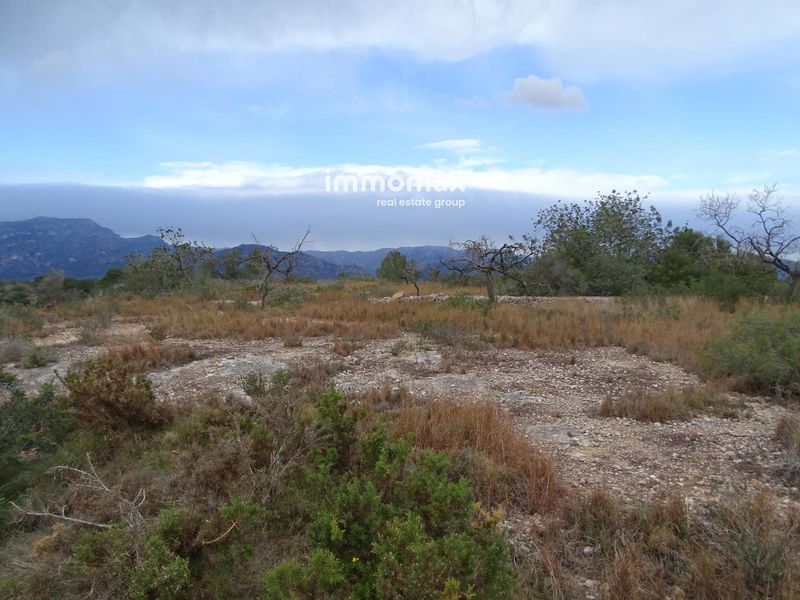 Finca rústica en venta Roquetes, Tarragona. Ref: 17442. IMMOMAX