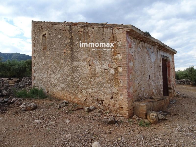 Finca rústica en venta Xerta, Tarragona. Ref: 17527. IMMOMAX
