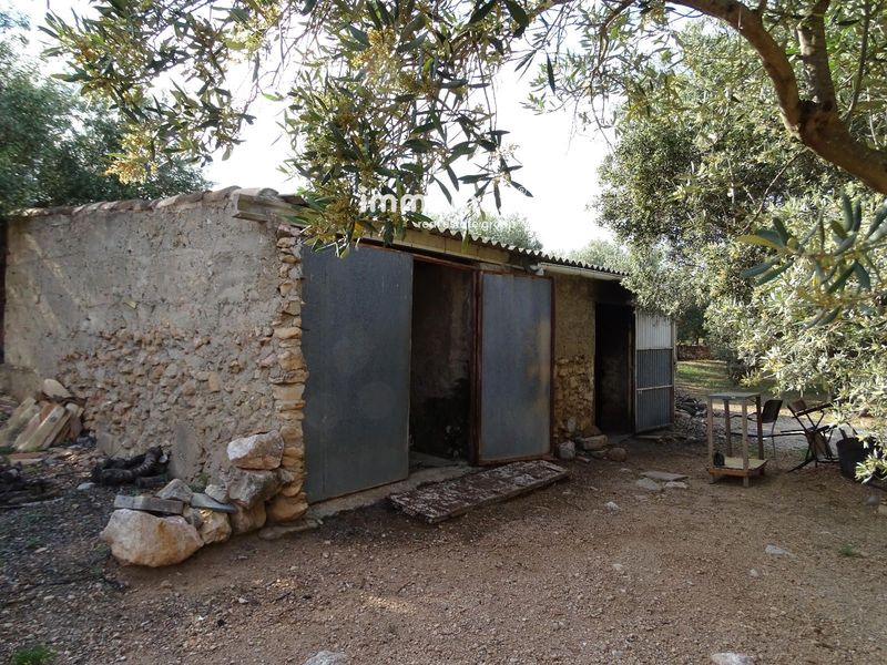 Finca rústica en venta Xerta, Tarragona. Ref: 17528. IMMOMAX