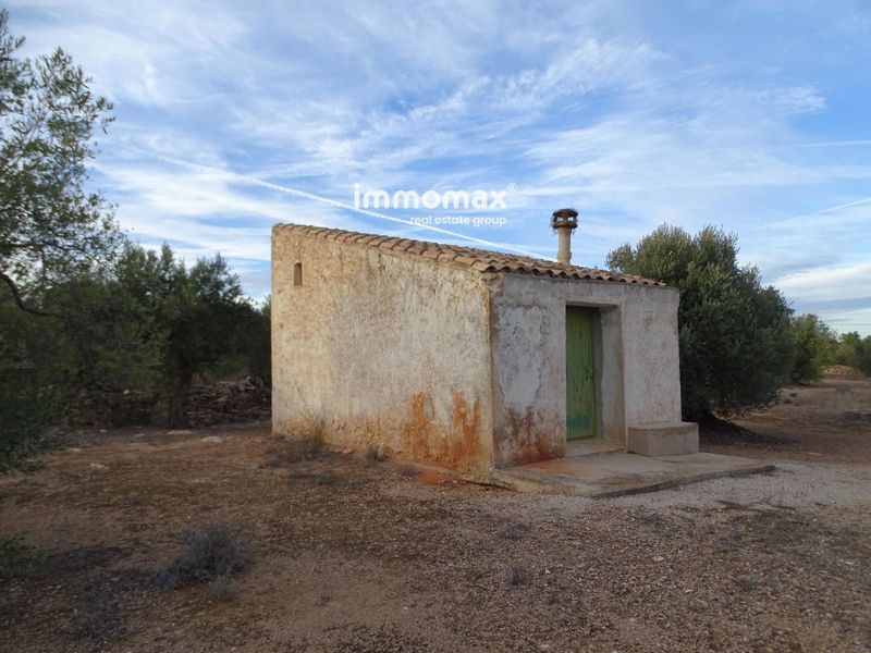Finca rústica en venta Xerta, Tarragona. Ref: 17530. IMMOMAX