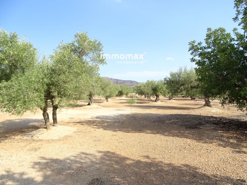 Finca rústica en venta Aldover, Tarragona. Ref: 17679. IMMOMAX