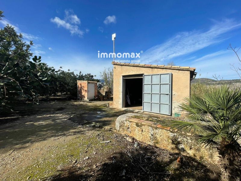 Finca rústica en venta Xerta, Tarragona. Ref: 17936. IMMOMAX