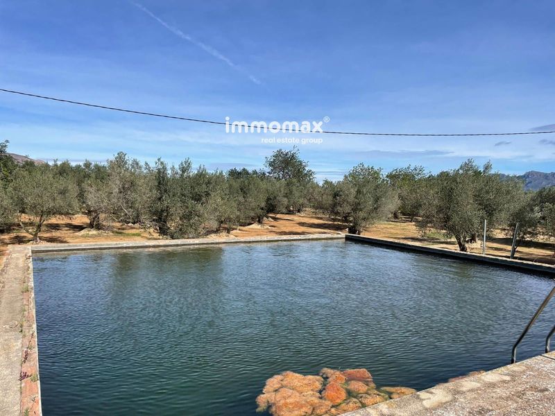 Finca rústica en venta Aldover, Tarragona. Ref: 17979. IMMOMAX