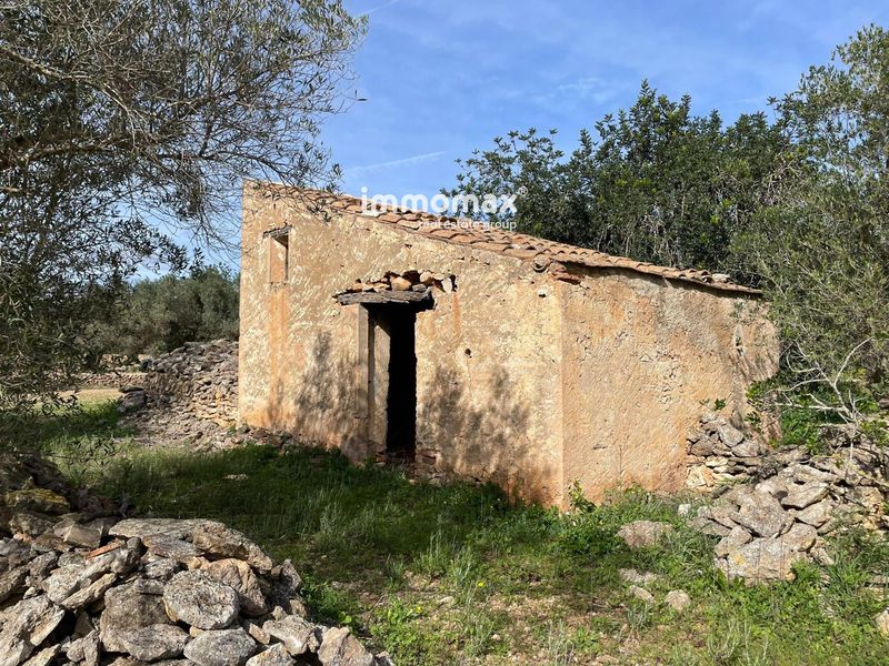 Finca rústica en venta Aldover, Tarragona. Ref: 17983. IMMOMAX