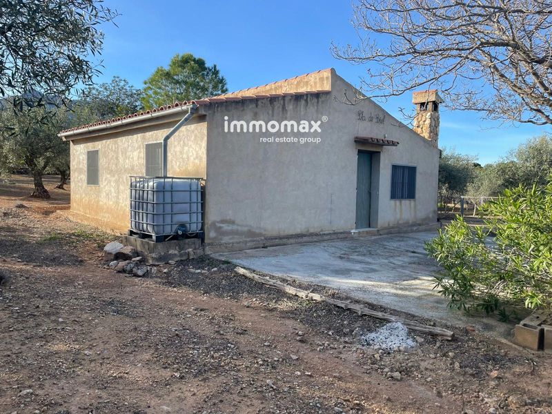 Finca rústica en venta Xerta, Tarragona. Ref: 18057. IMMOMAX