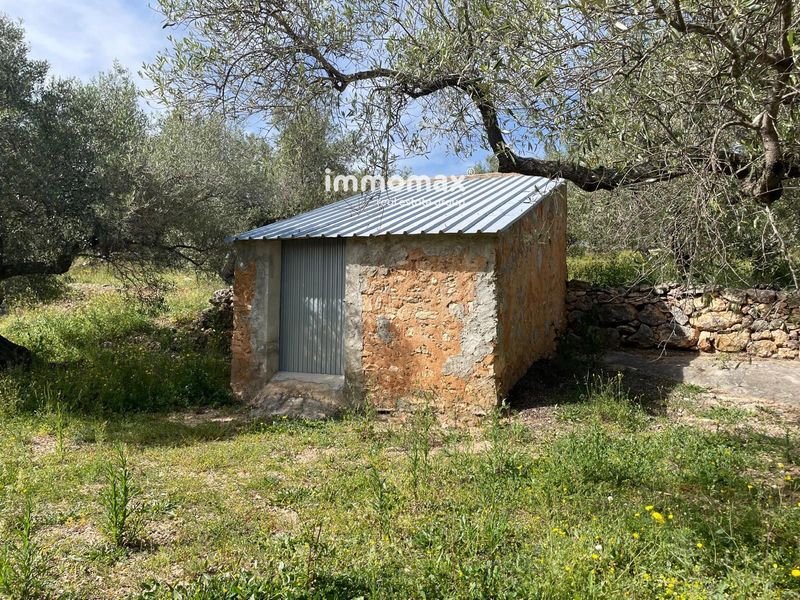 Finca rústica en venta Xerta, Tarragona. Ref: 18141. IMMOMAX
