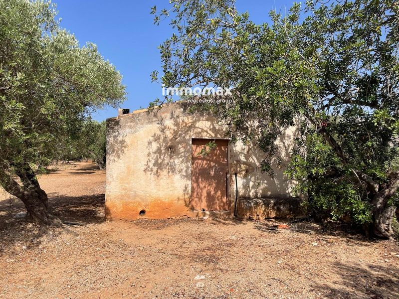 Propriété rustique en vente Xerta, Tarragona. Ref: 18221. IMMOMAX