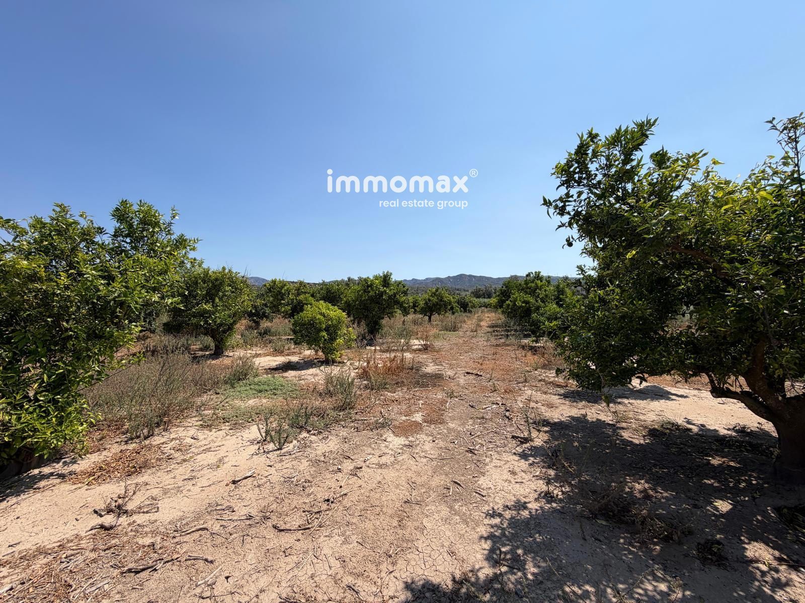Rustikales Grundstück in Aldover am Fluss Ebro, mit Brunnenwasser und der Möglichkeit eines Stromanschlusses. - Foto 9