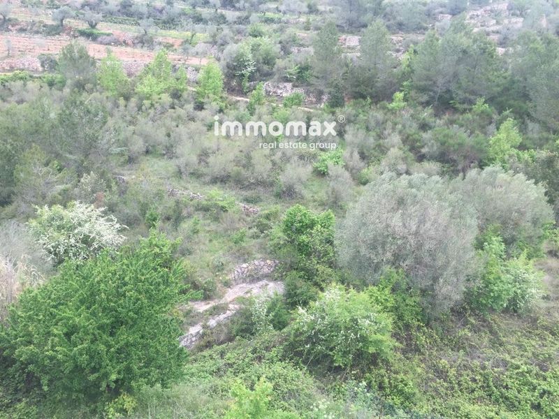 Casa en venta Pradell De La Teixeta, Tarragona. Ref: 2439. IMMOMAX