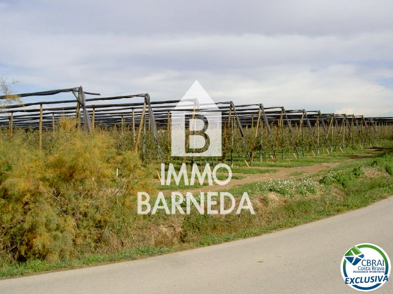 LAND OF 5.000 M2
