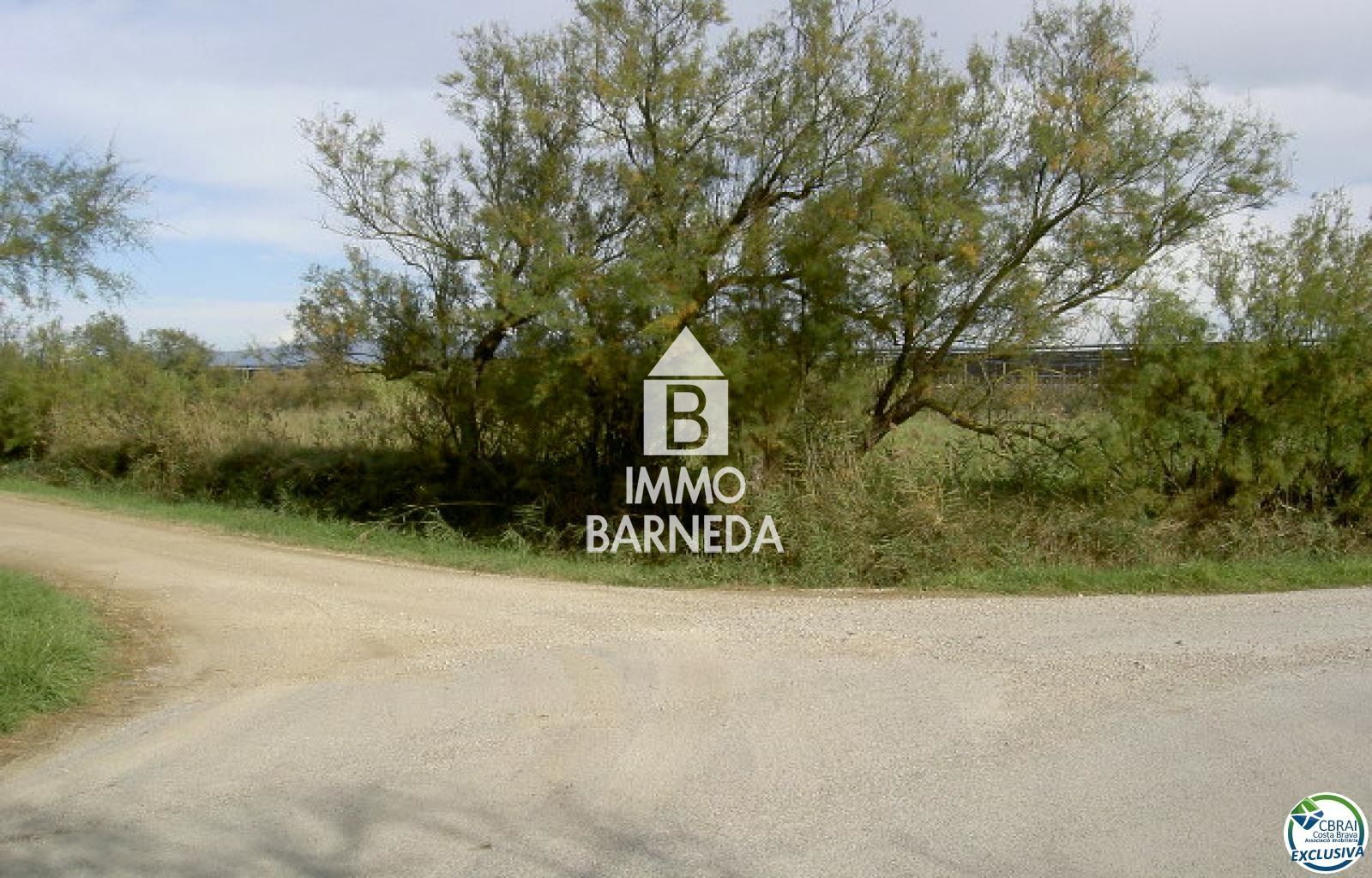 LAND OF 5.000 M2