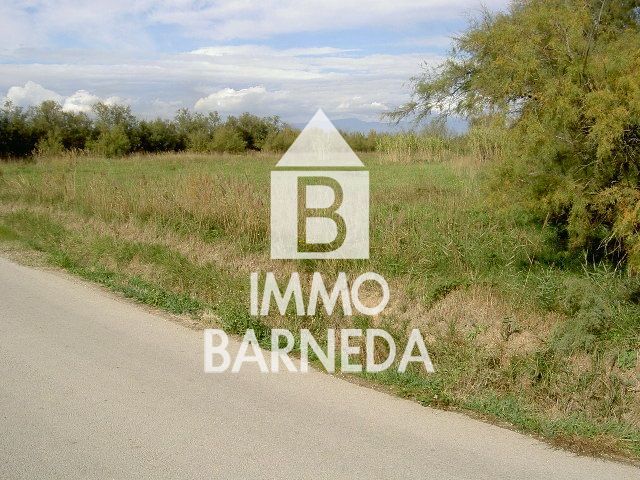 LAND OF 5.000 M2