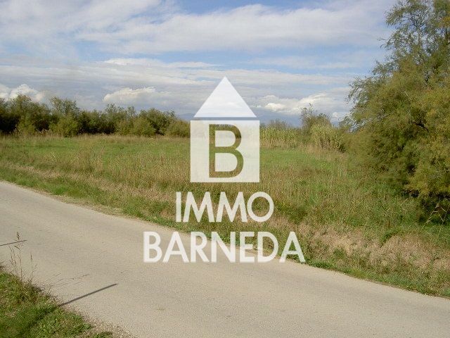 LAND OF 5.000 M2
