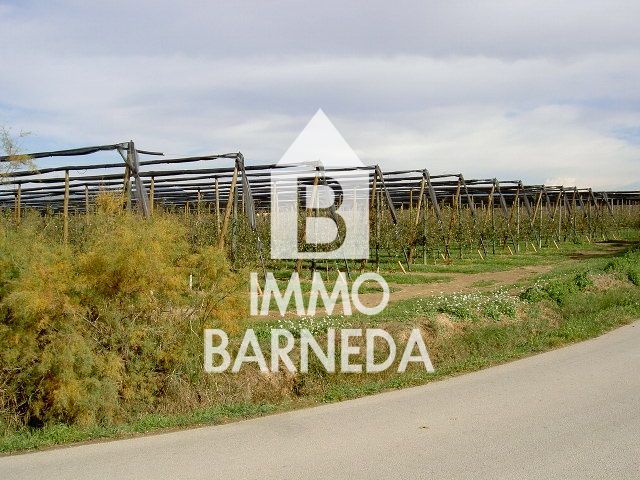 LAND OF 5.000 M2