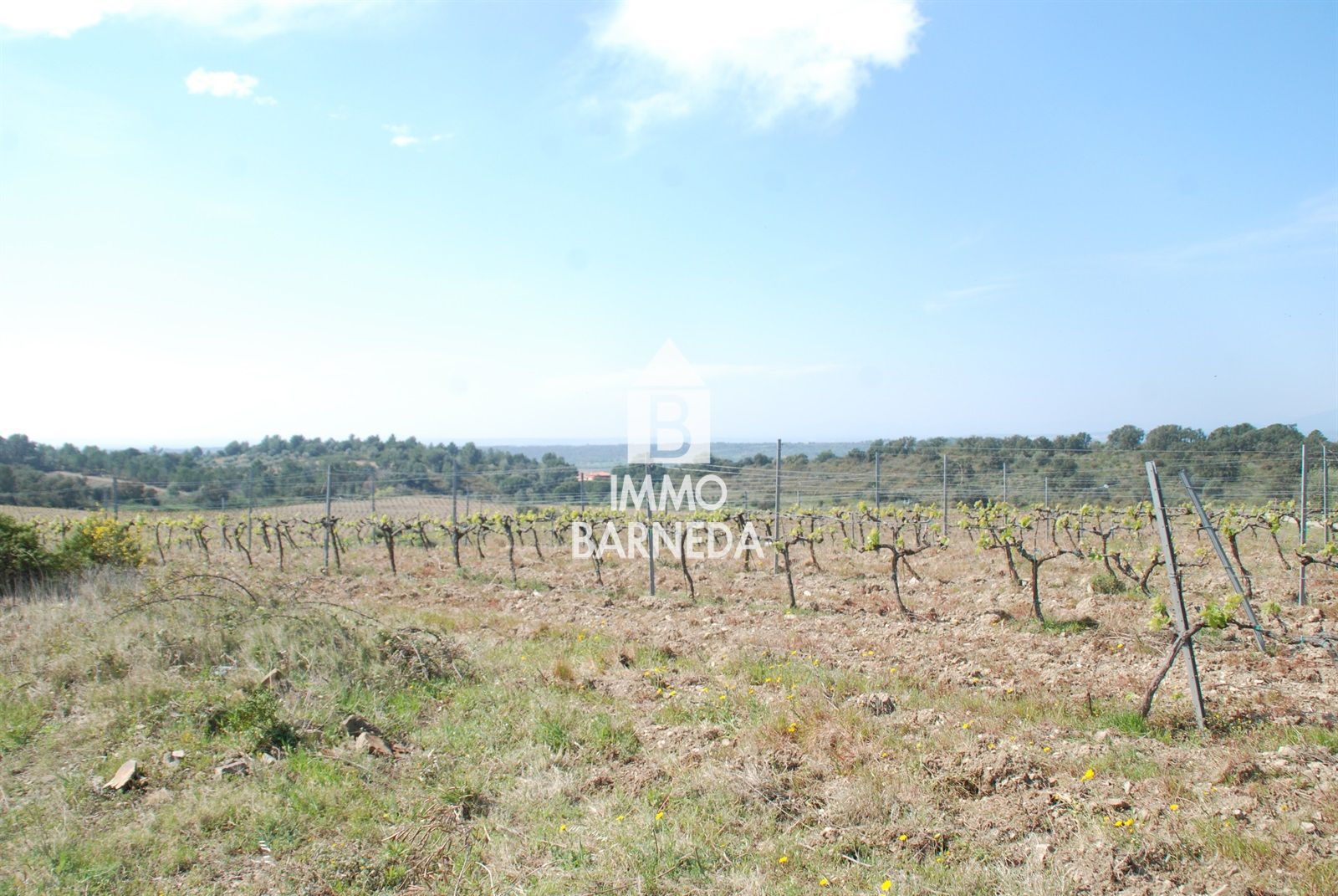 In Garriguella