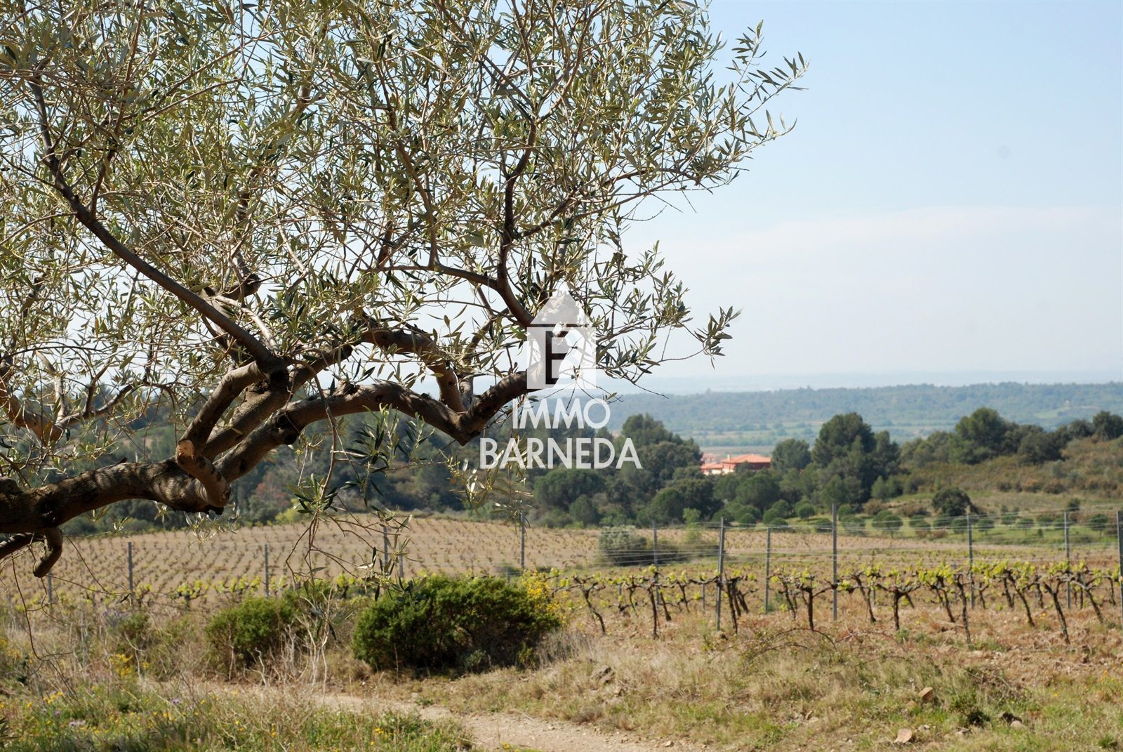 In Garriguella