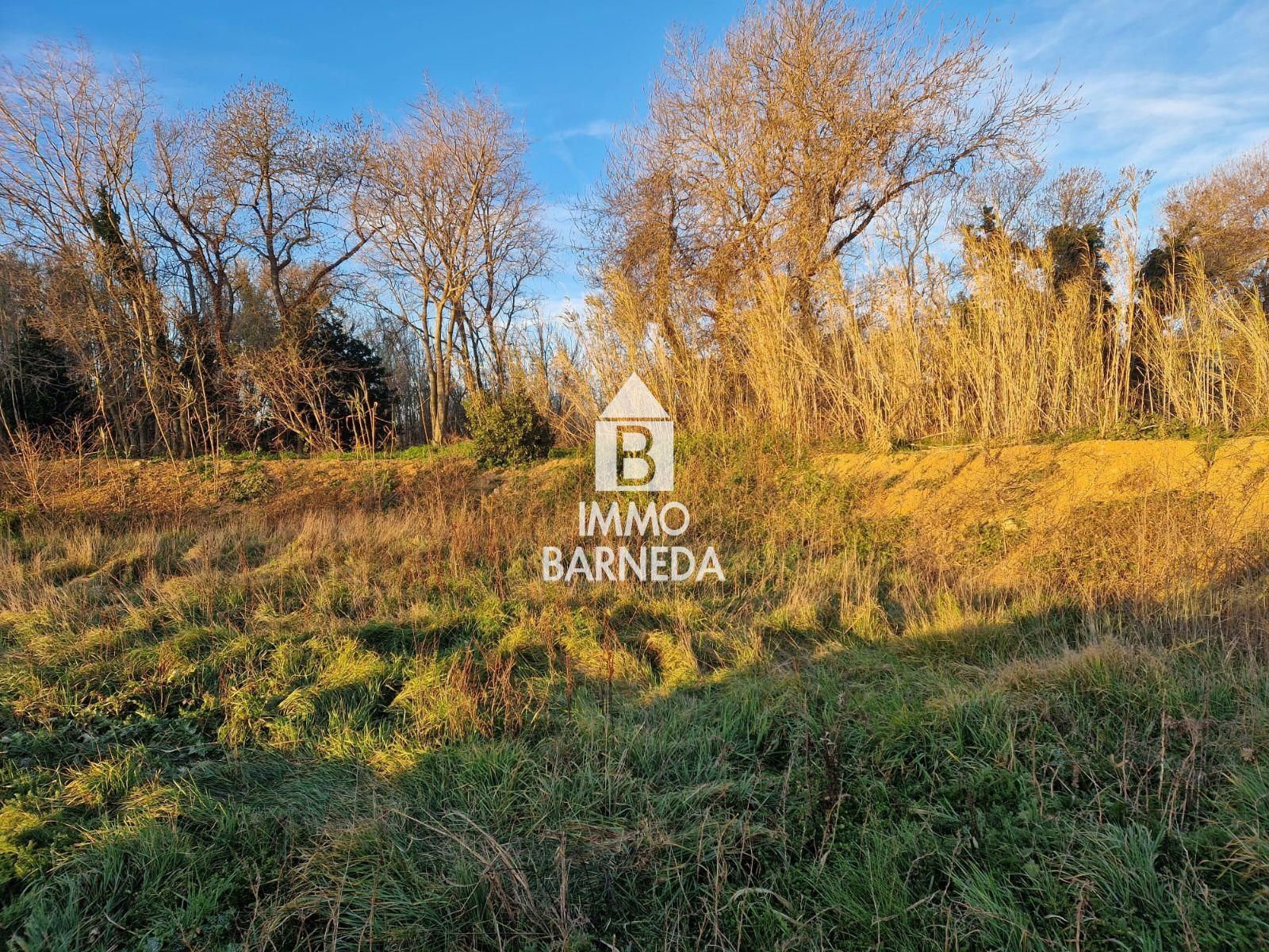 Large rustic land in Peralada.