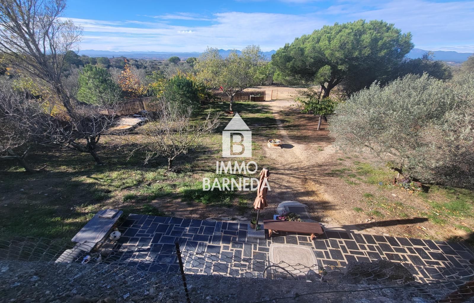 Terrains ruraux avec oliveraie et autonomie énergétique