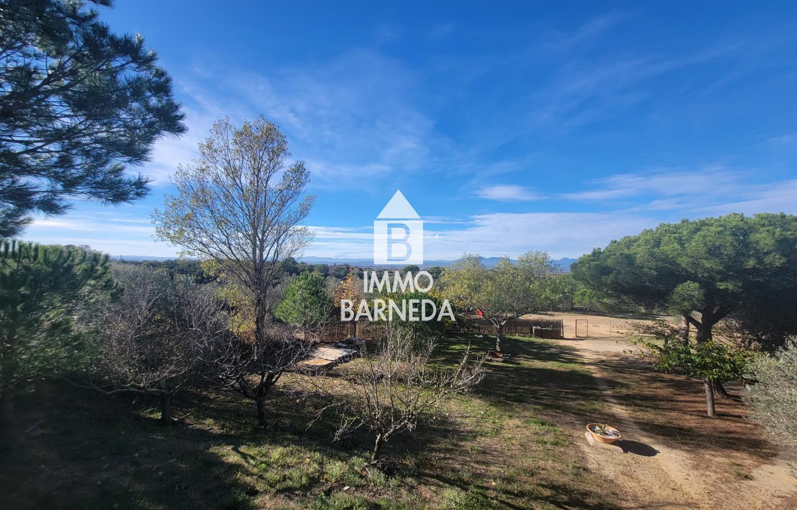 Terrains ruraux avec oliveraie et autonomie énergétique