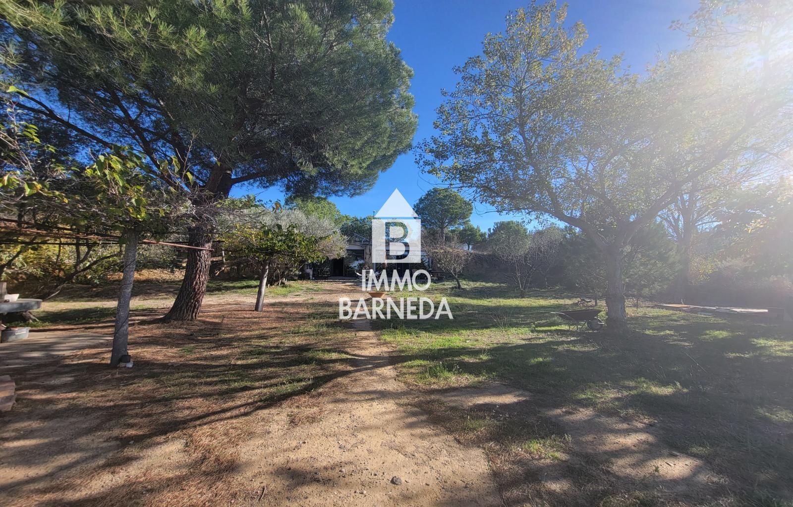 Terrains ruraux avec oliveraie et autonomie énergétique