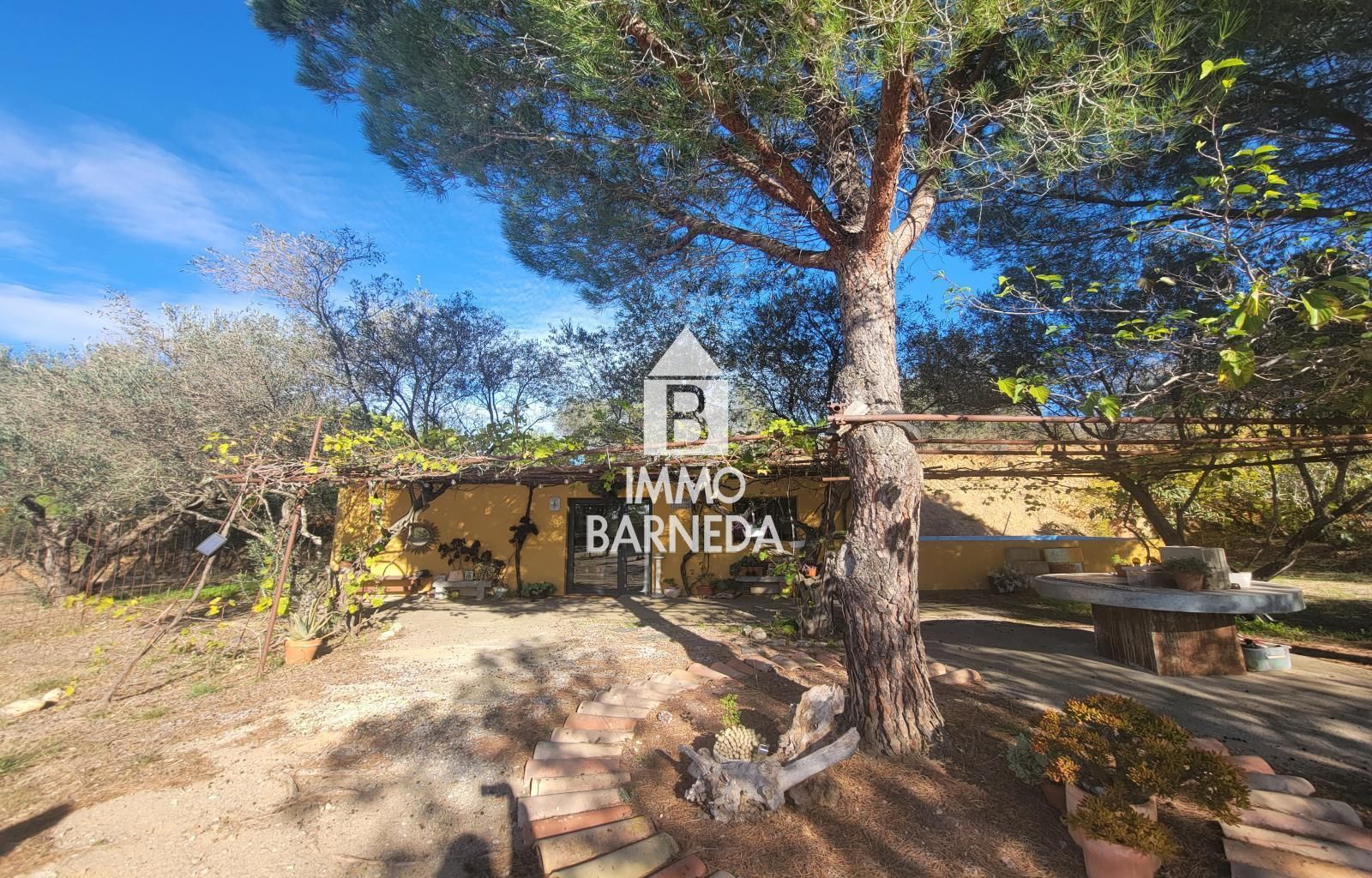 Terrains ruraux avec oliveraie et autonomie énergétique