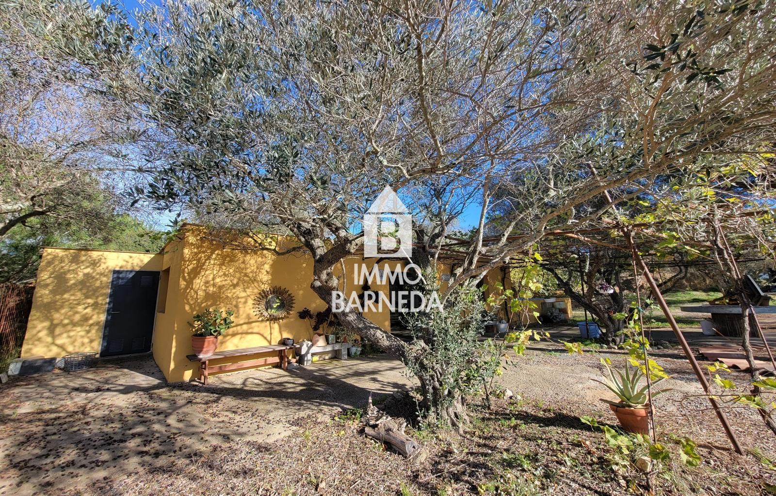 Terrains ruraux avec oliveraie et autonomie énergétique