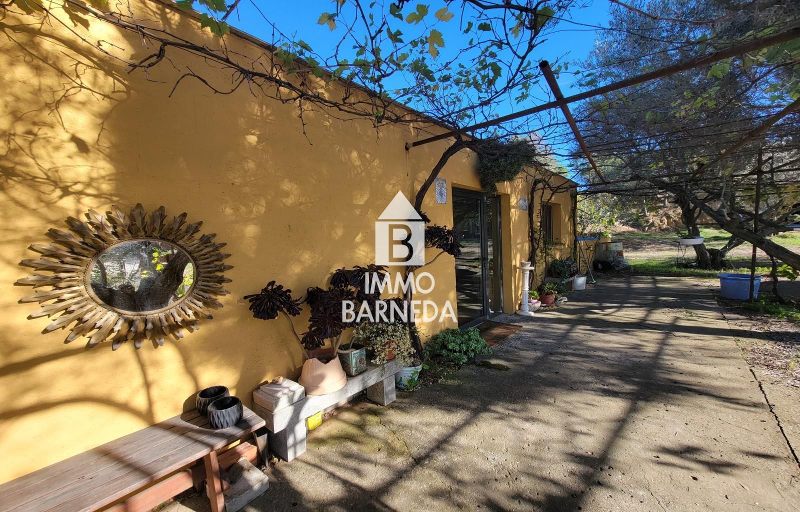 Terrains ruraux avec oliveraie et autonomie énergétique