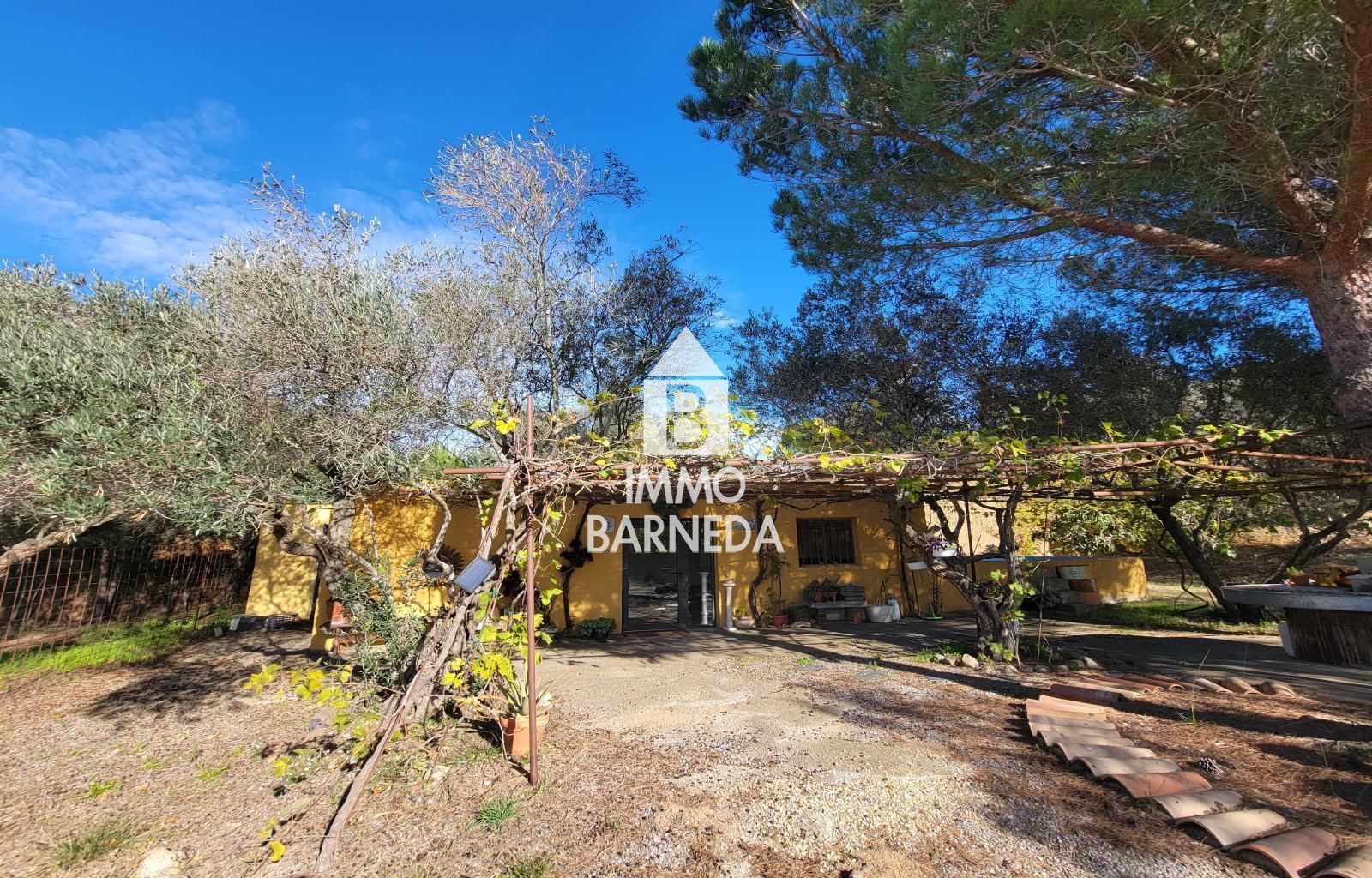 Terrains ruraux avec oliveraie et autonomie énergétique